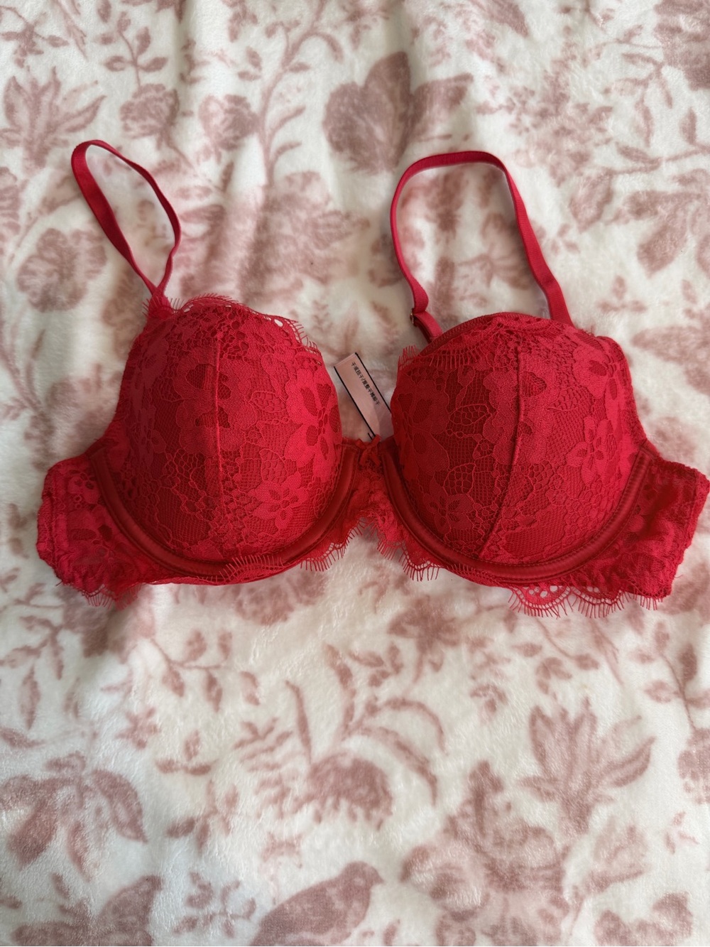 Victoria's Secret Red Lace Push-Up Bra with Floral Overlay